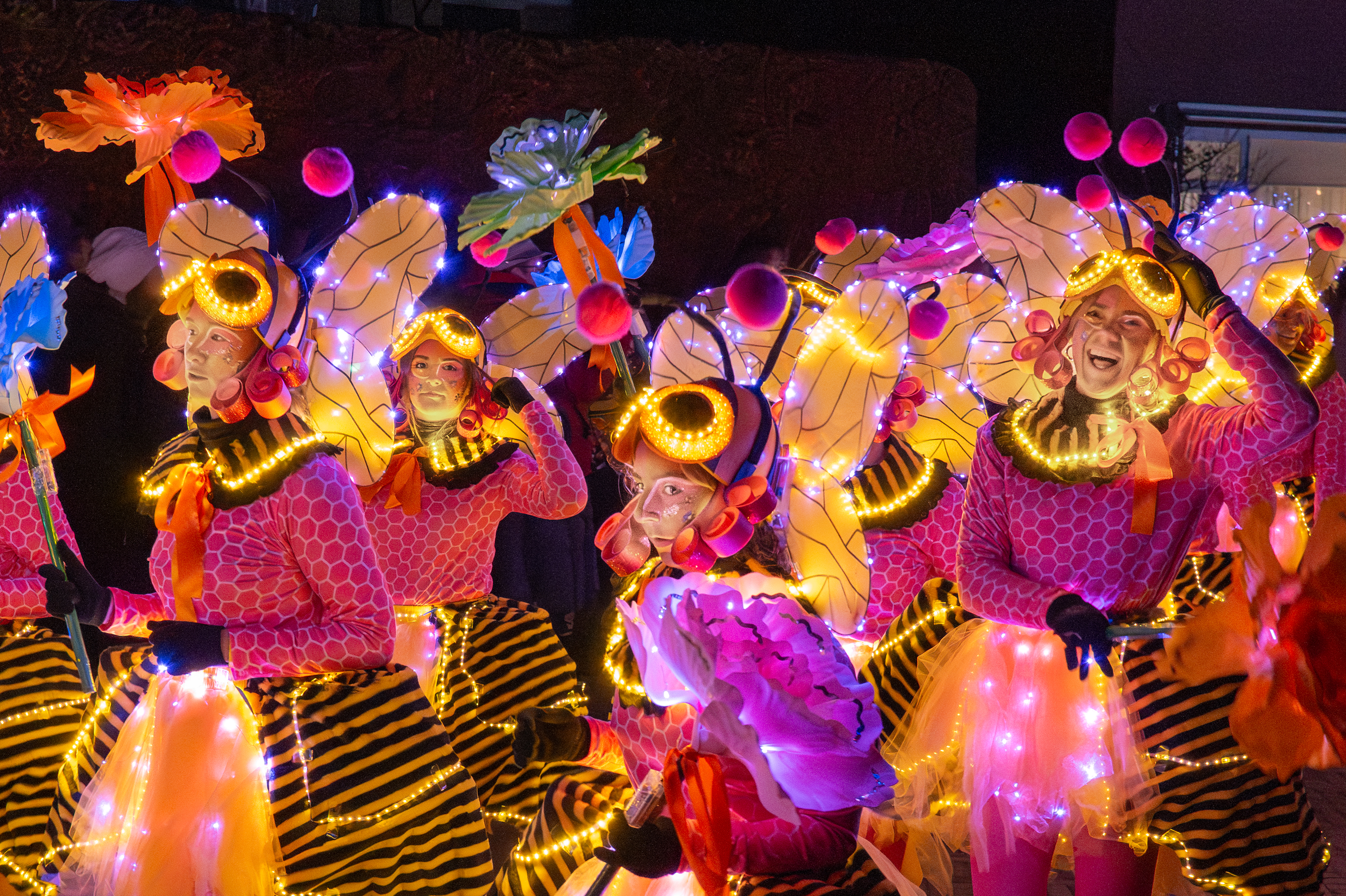 Carnaval Hans Bouma